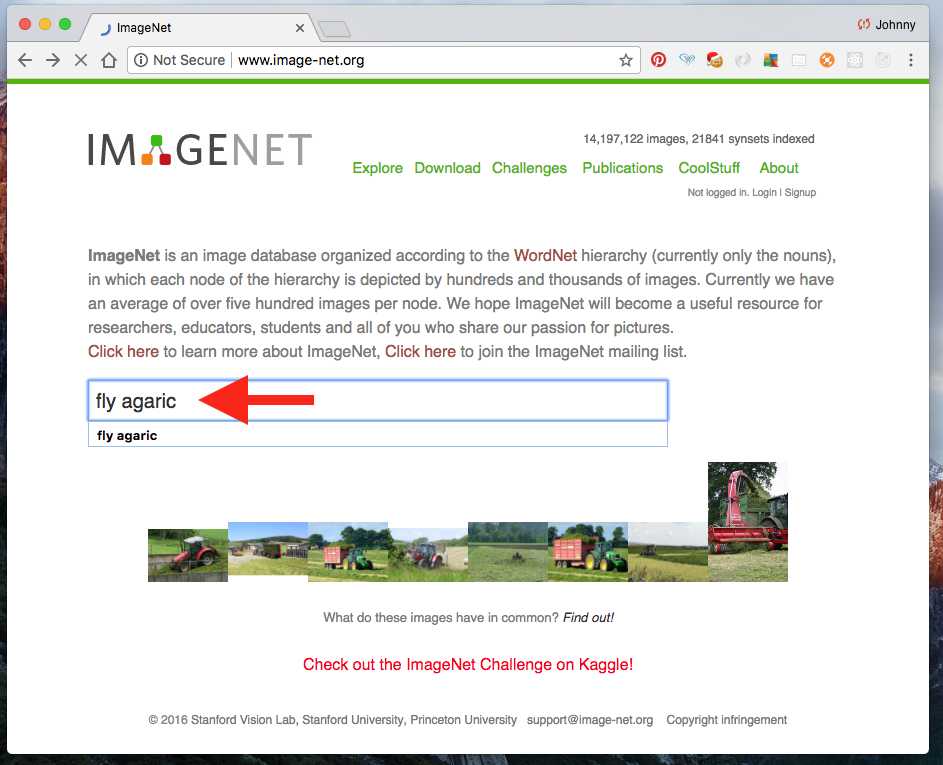 imagenet-1.png